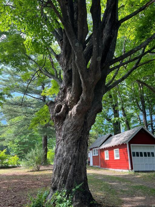 Schoolhouse No. 11 * Hudson Valley Upstate Getaway Stone Ridge Экстерьер фото